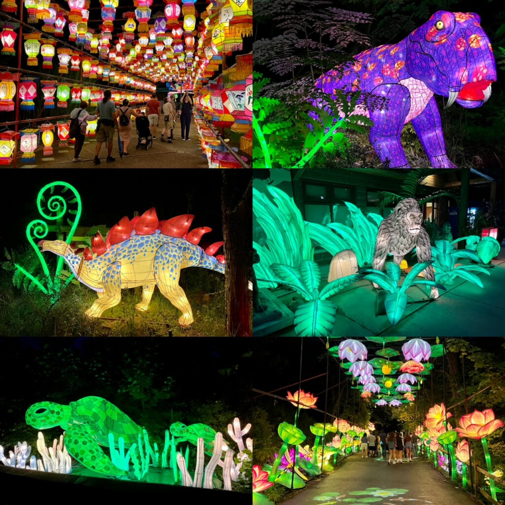 Pittsburgh Zoo hosts Asian Lantern Festival • The Duquesne Duke